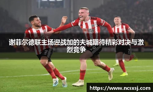 谢菲尔德联主场迎战加的夫城期待精彩对决与激烈竞争